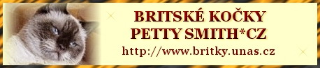 Cattery of British cats PettySmiht*CZ